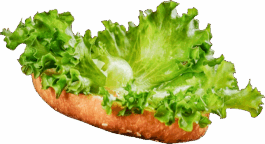 Andreas Kuschner Kommunikationsdesign